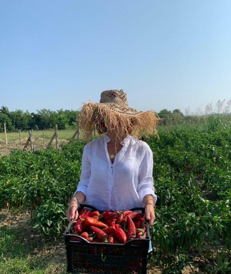 Hotel Agroturizem Gjepali Shijak Esterno foto